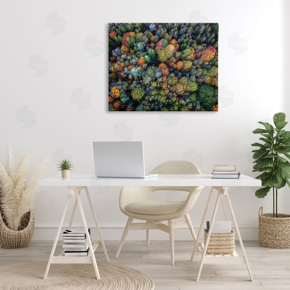 Rick Berk Aerial View Autumnal Foliage Canvas Wall Art Print in Room