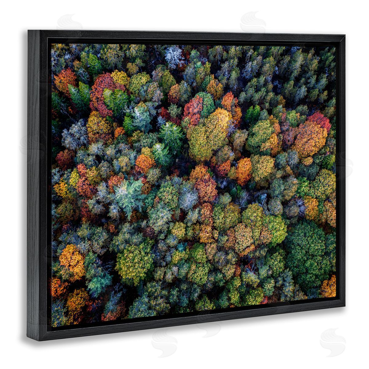 Rick Berk Aerial View Autumnal Foliage Black Floating Frame Canvas Wall Art Print