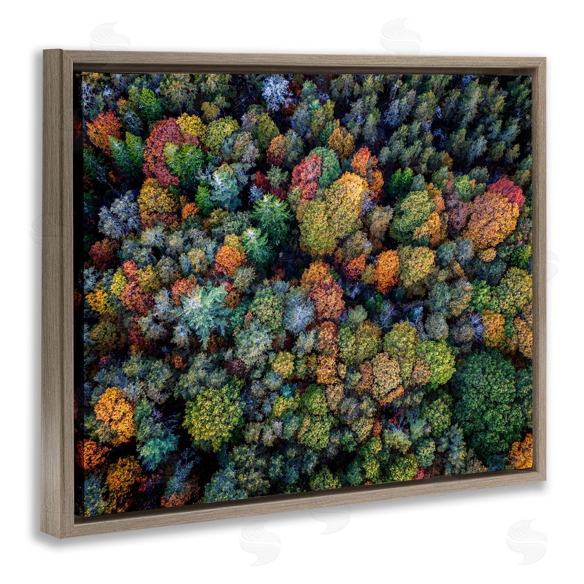 Rick Berk Aerial View Autumnal Foliage Brown Floating Frame Canvas Wall Art Print