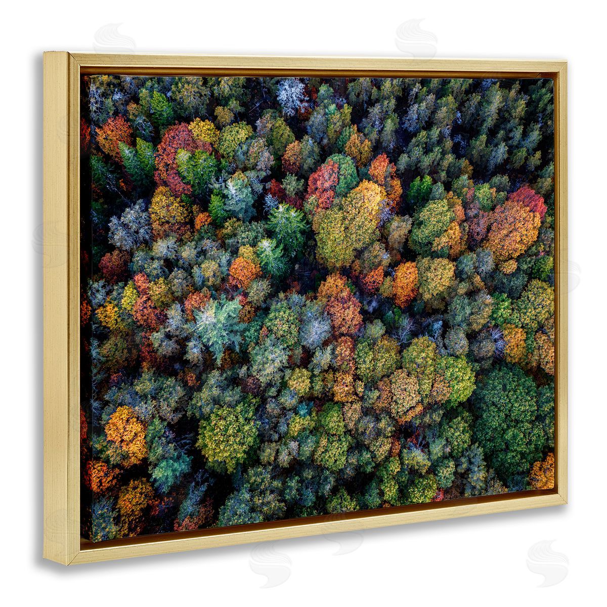 Rick Berk Aerial View Autumnal Foliage Gold Floating Frame Canvas Wall Art Print