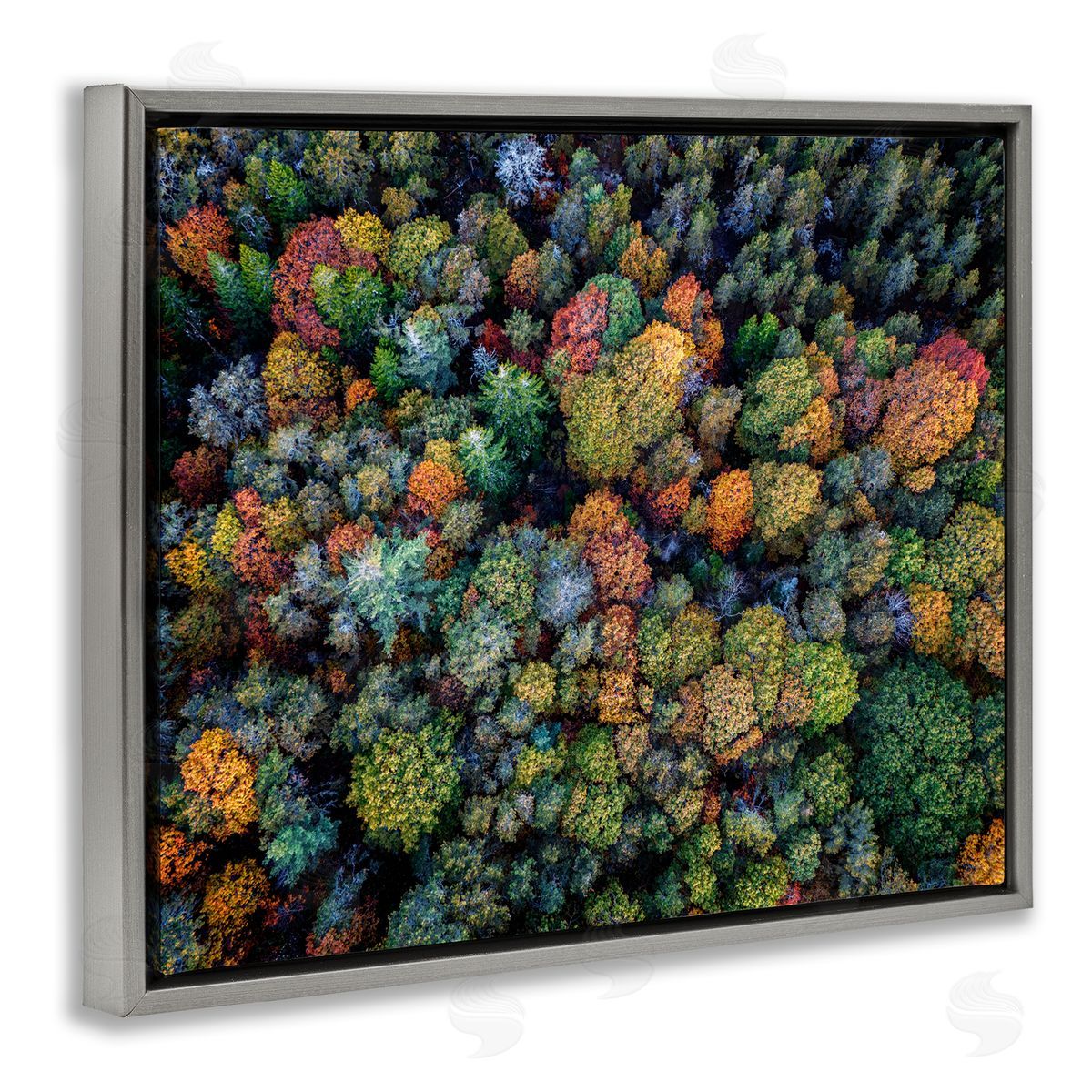 Rick Berk Aerial View Autumnal Foliage Gray Floating Frame Canvas Wall Art Print