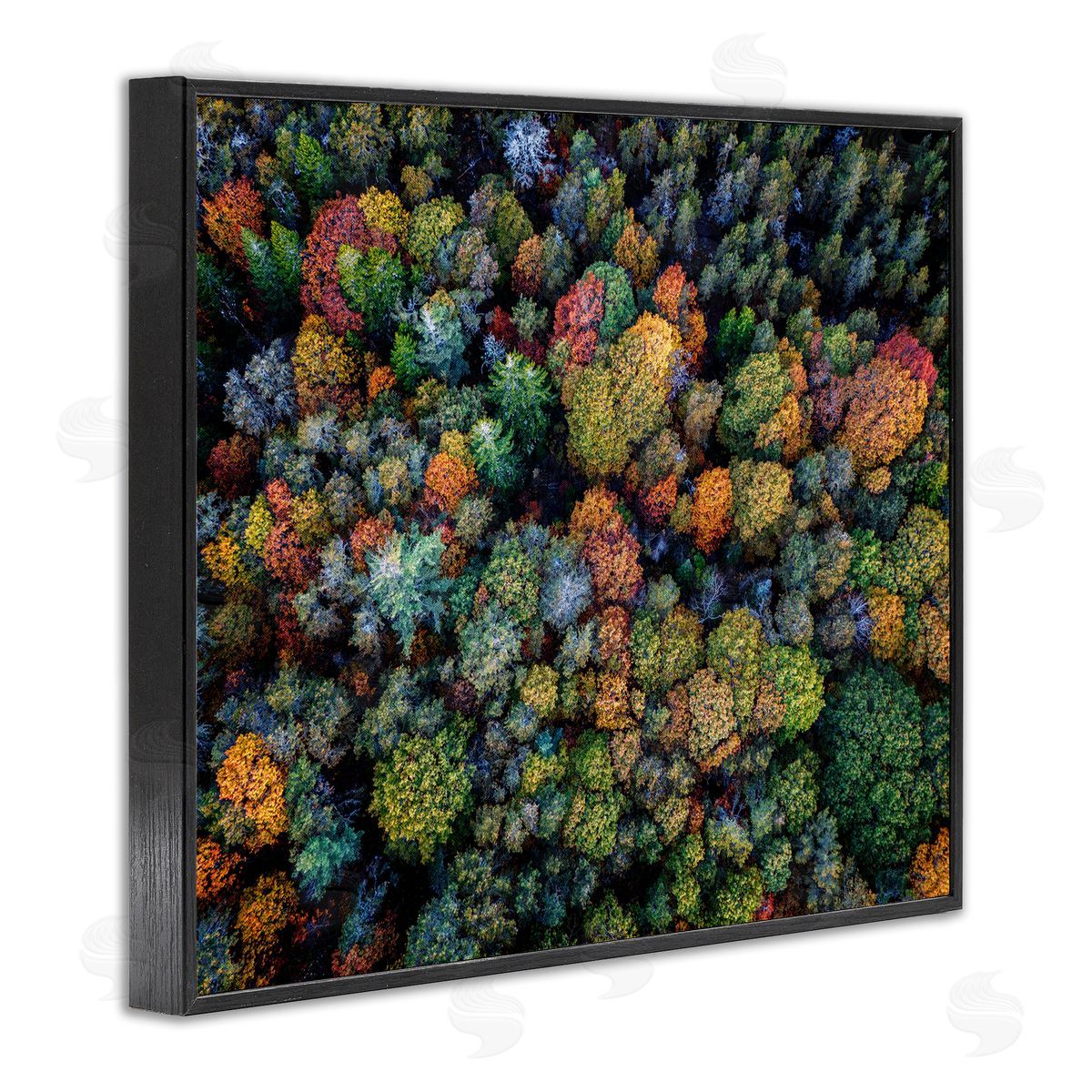 Rick Berk Aerial View Autumnal Foliage Black Framed Giclee Wall Art Print