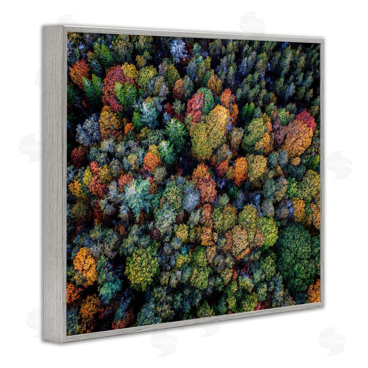 Rick Berk Aerial View Autumnal Foliage Gray Framed Giclee Wall Art Print