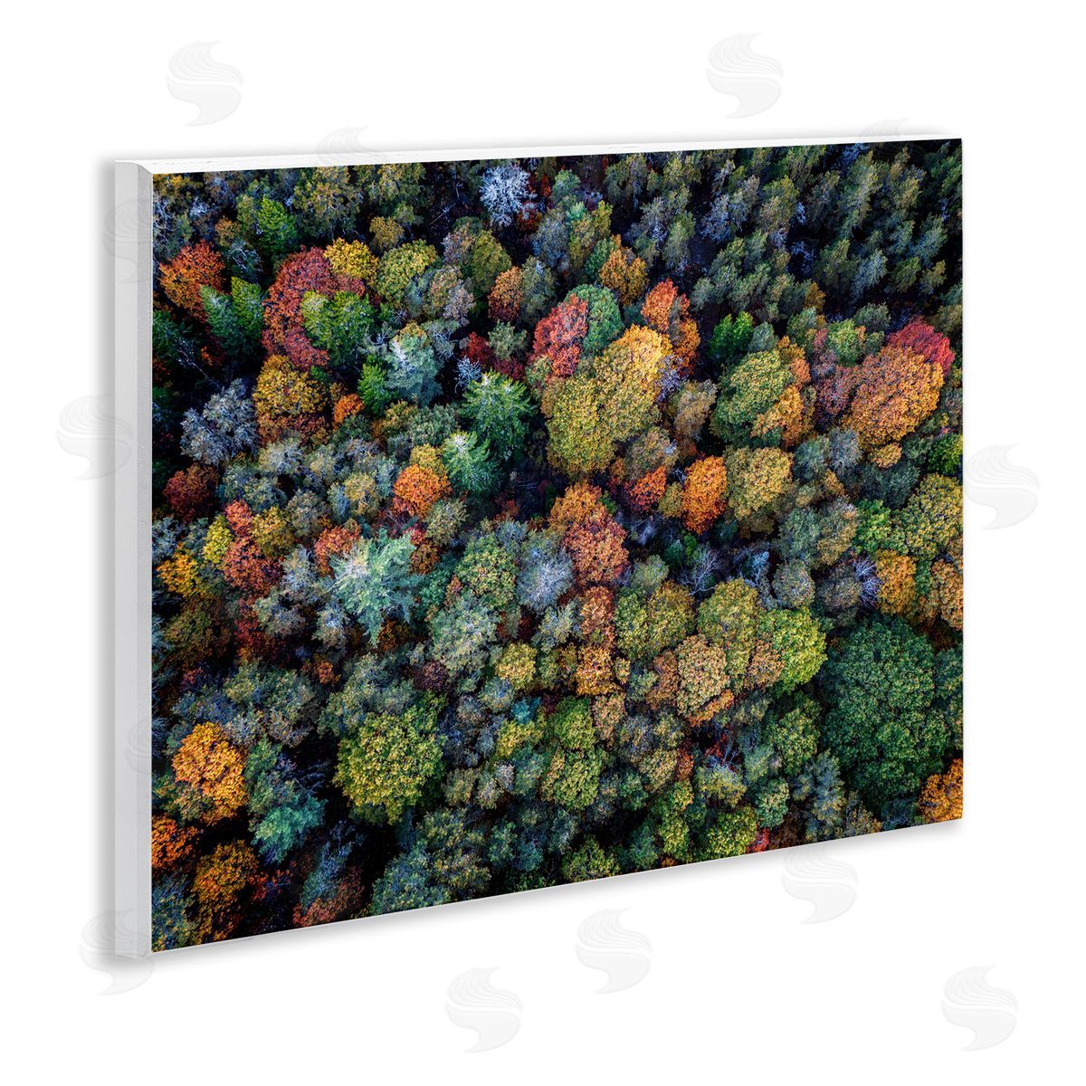 Rick Berk Aerial View Autumnal Foliage Wooden Wall Plaque Art Print