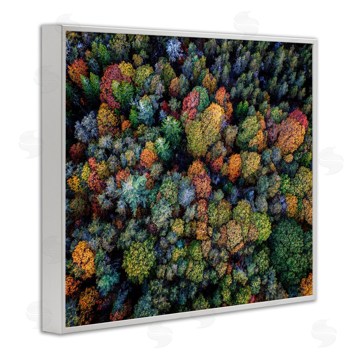 Rick Berk Aerial View Autumnal Foliage White Framed Giclee Wall Art Print