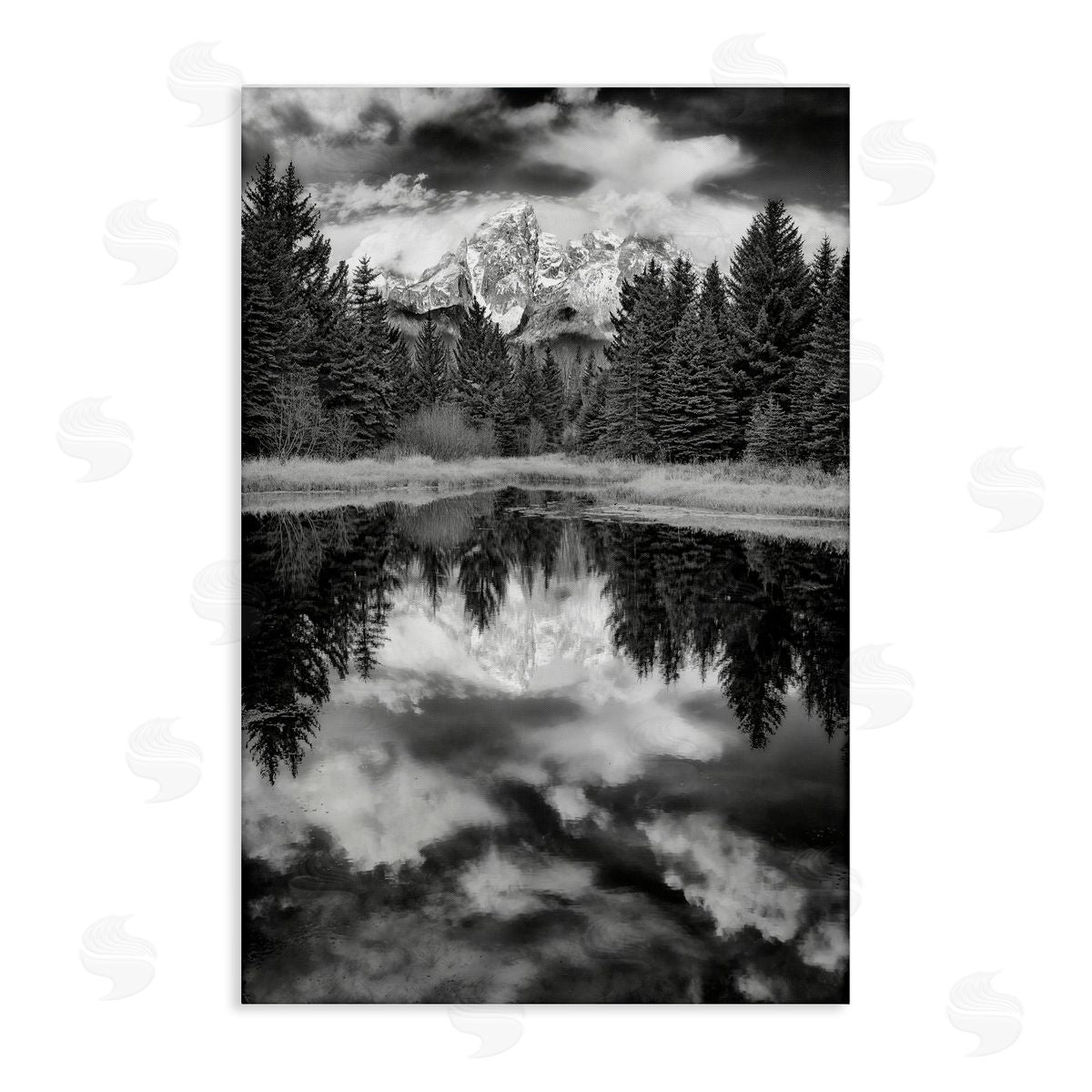 Rick Berk Black & White Forest Reflection Canvas Wall Art Print