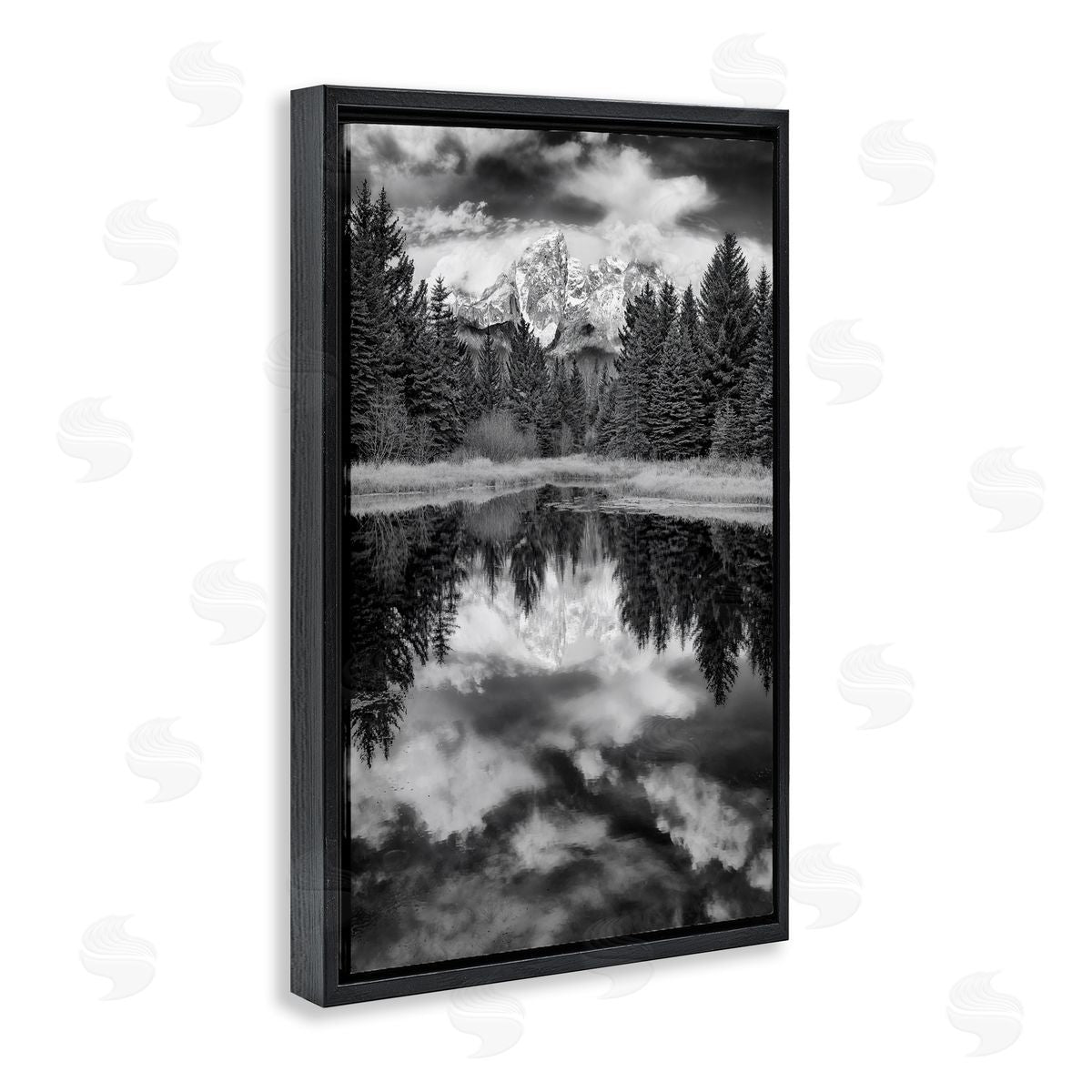 Rick Berk Black & White Forest Reflection Black Floating Frame Canvas Wall Art Print