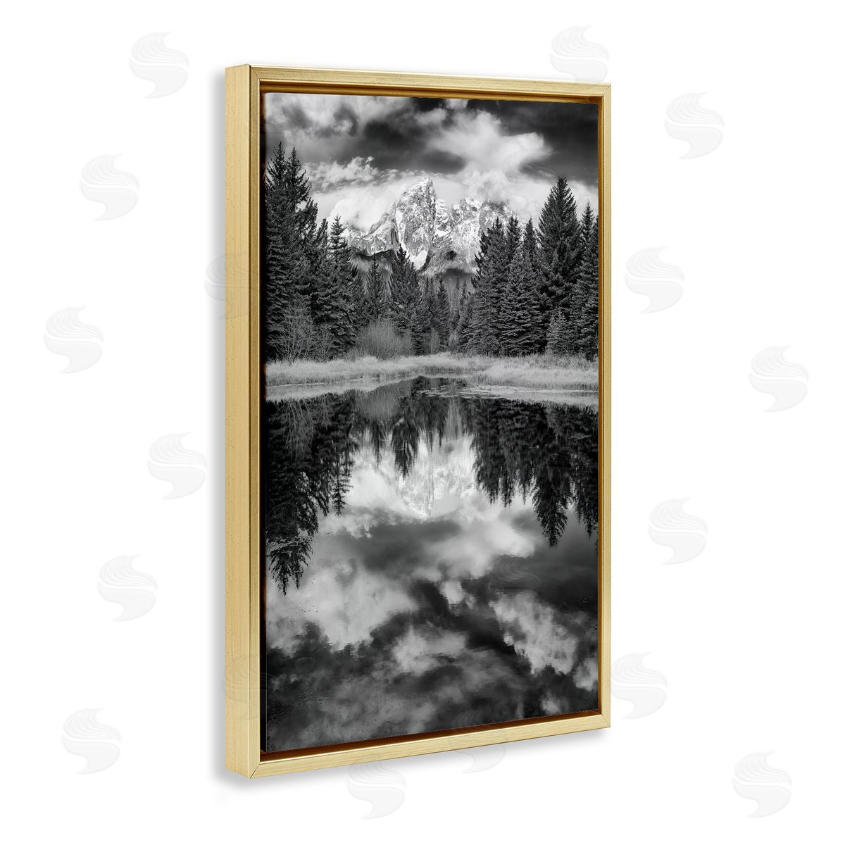 Rick Berk Black & White Forest Reflection Gold Floating Frame Canvas Wall Art Print