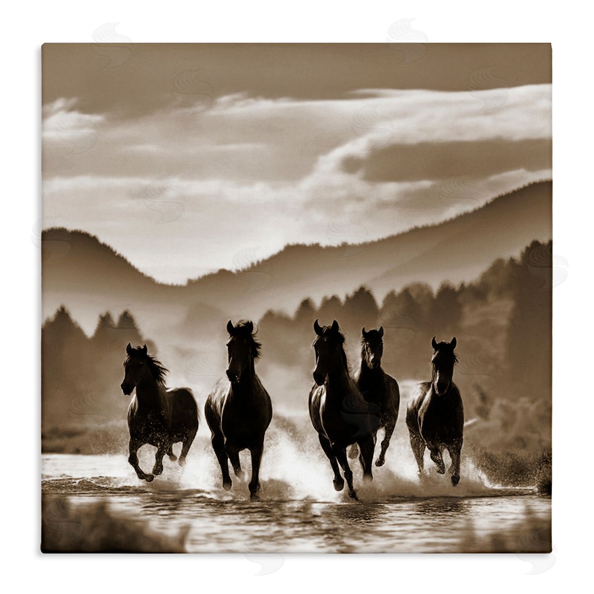 Noah Bay Splashing Canyon Stallions Canvas Wall Art Print