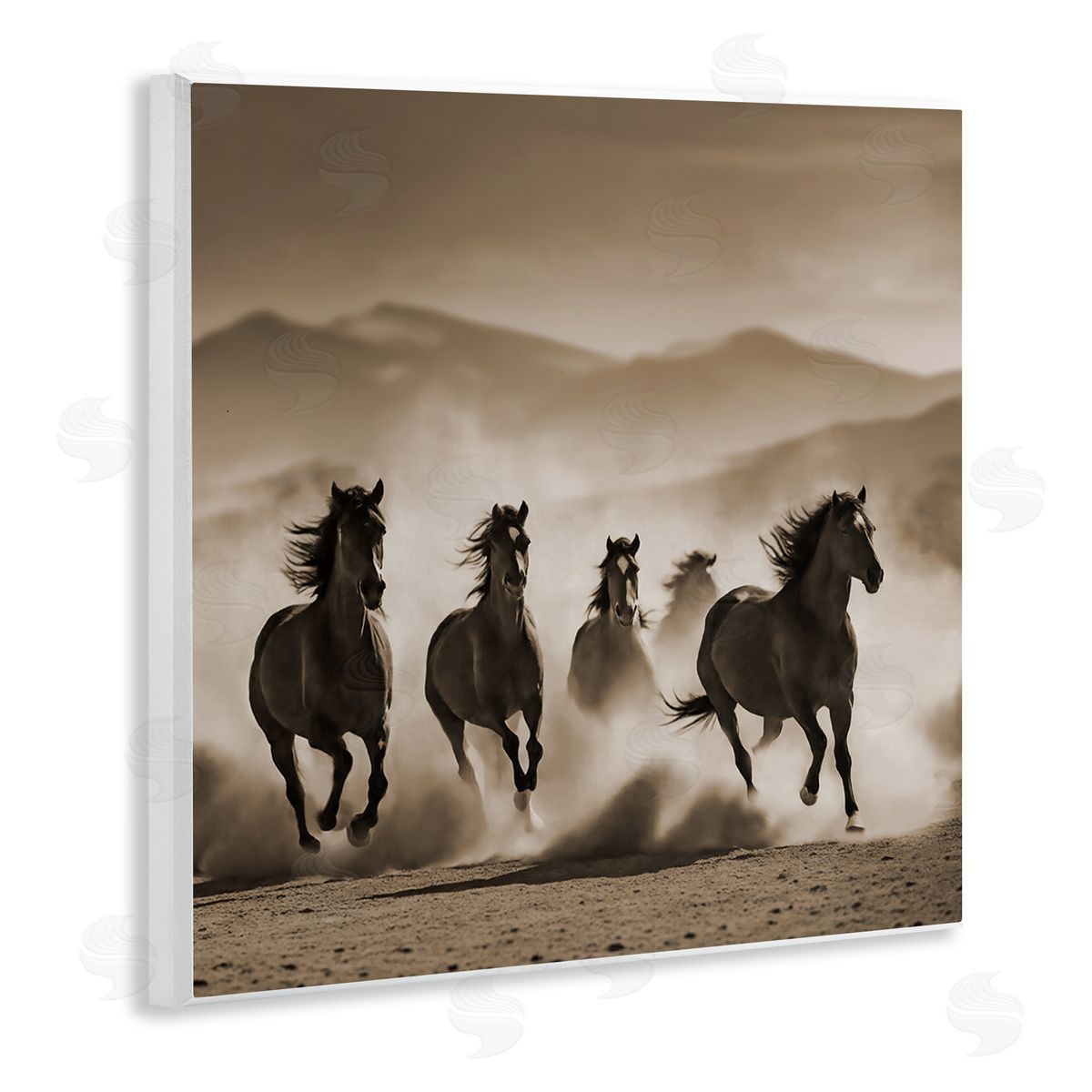 Noah Bay Trotting Mountain Stallions Wooden Wall Plaque Art Print