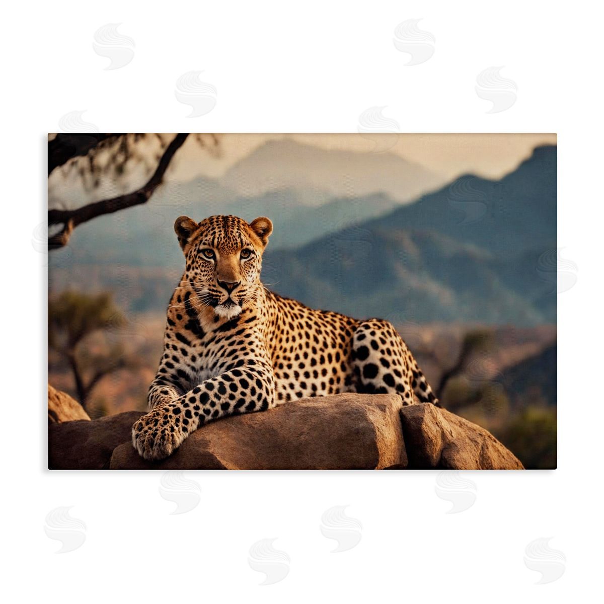Intense Watching Cheetah Canvas Wall Art, Home Decor by Noah Bay