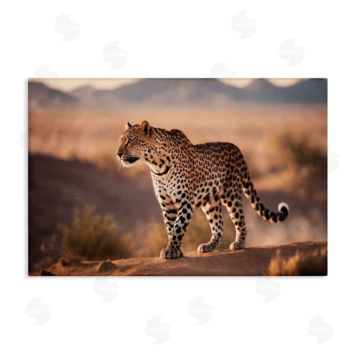 Cheetah On Patrol Canvas Wall Art, Home Decor by Noah Bay