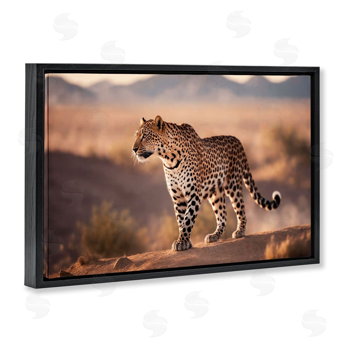 Cheetah On Patrol Black Floating Frame Canvas Wall Art, Home Decor by Noah Bay