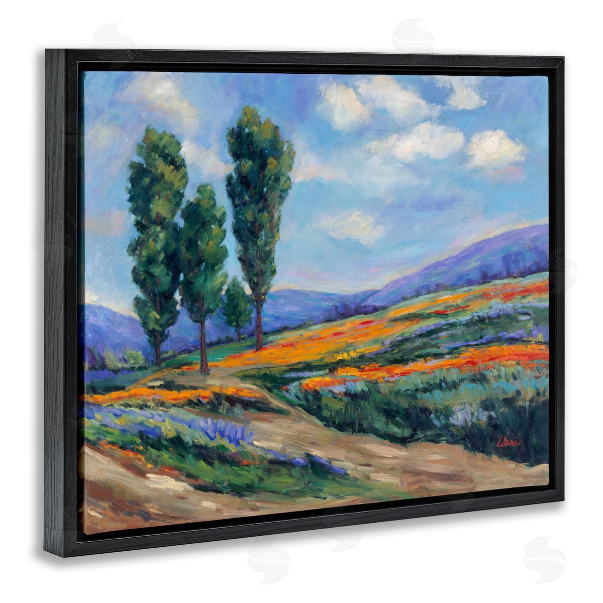 Alexi Fine Rolling Hills Traditional Landscape Black Floating Frame Canvas Wall Art Print
