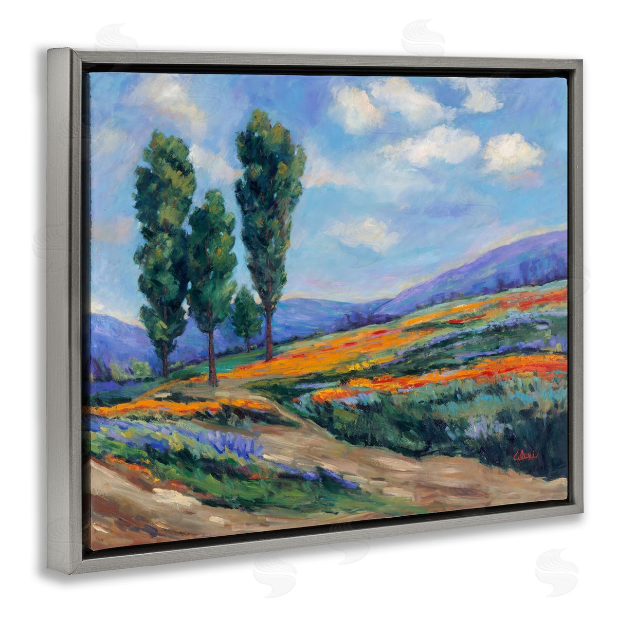 Alexi Fine Rolling Hills Traditional Landscape Gray Floating Frame Canvas Wall Art Print