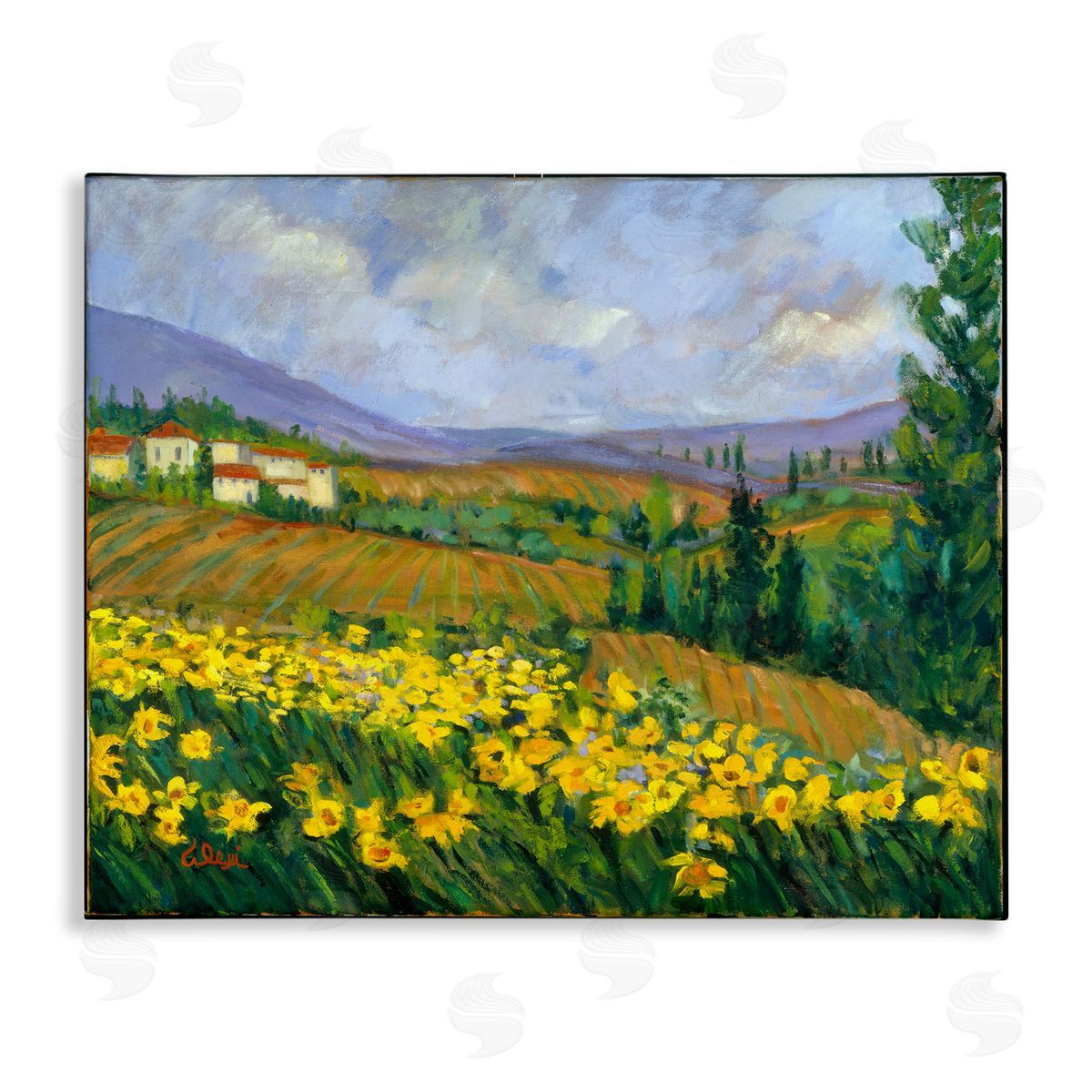Alexi Fine Daffodil Field by Farm Canvas Wall Art Print