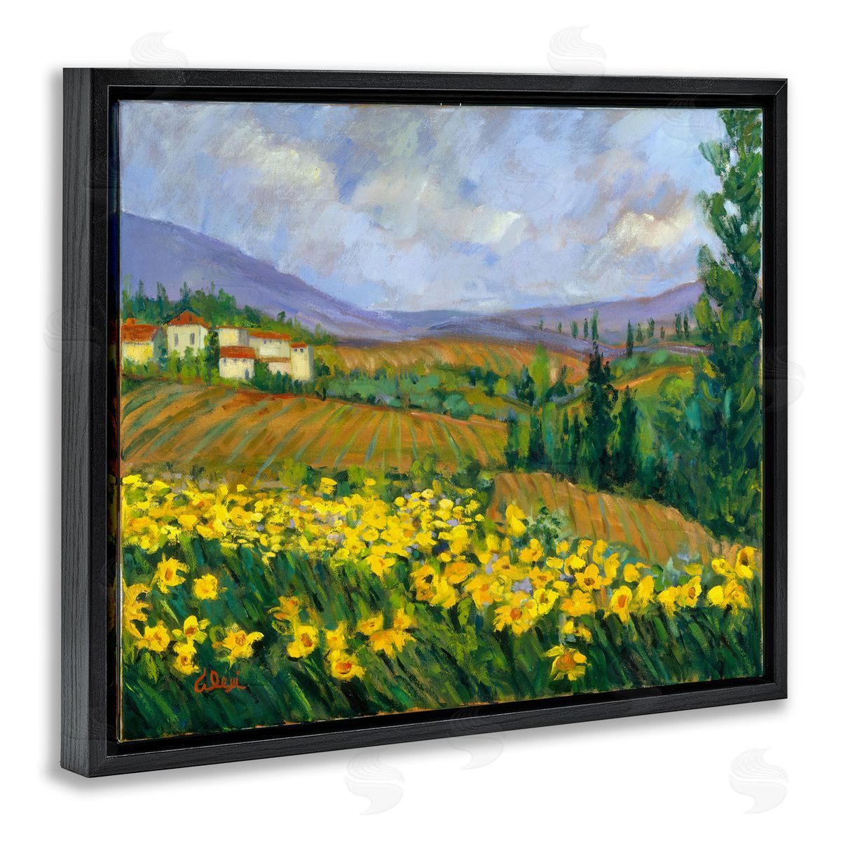Alexi Fine Daffodil Field by Farm Black Floating Frame Canvas Wall Art Print