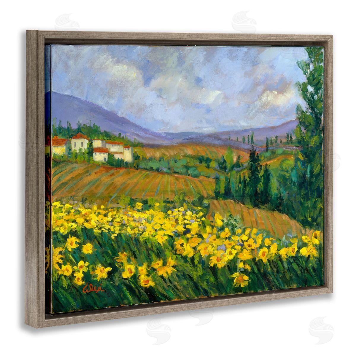 Alexi Fine Daffodil Field by Farm Brown Floating Frame Canvas Wall Art Print