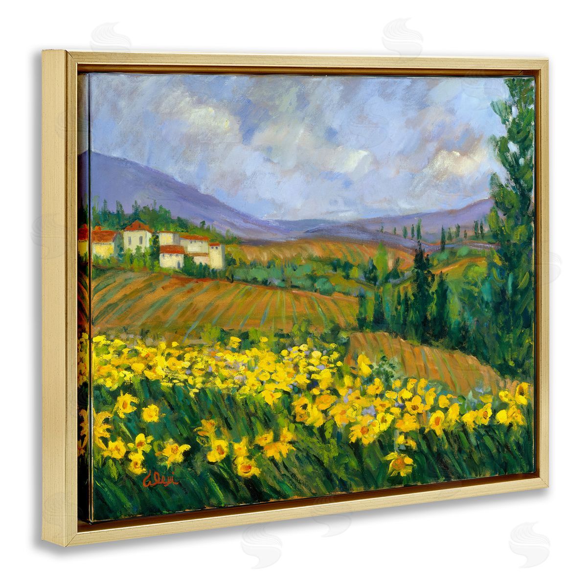 Alexi Fine Daffodil Field by Farm Gold Floating Frame Canvas Wall Art Print