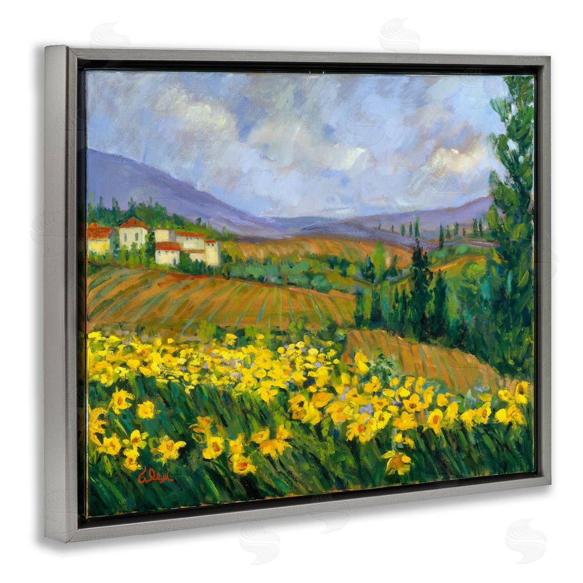 Alexi Fine Daffodil Field by Farm Gray Floating Frame Canvas Wall Art Print
