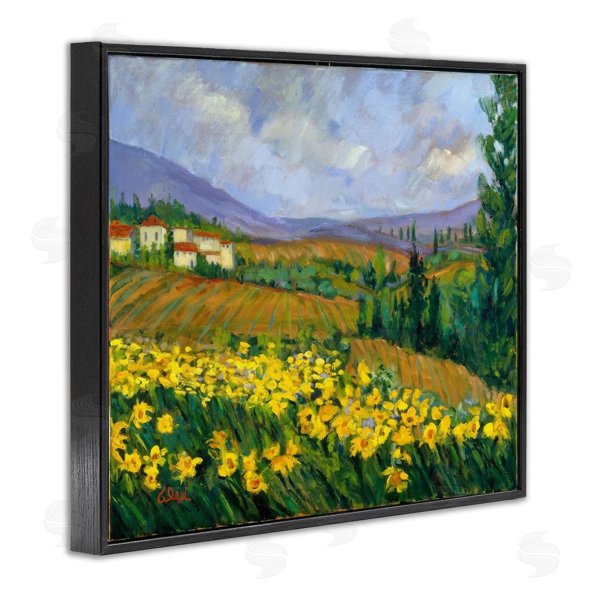 Alexi Fine Daffodil Field by Farm Black Framed Giclee Wall Art Print