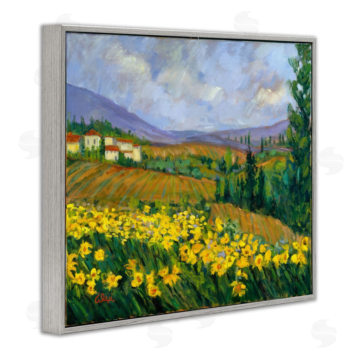 Alexi Fine Daffodil Field by Farm Gray Framed Giclee Wall Art Print