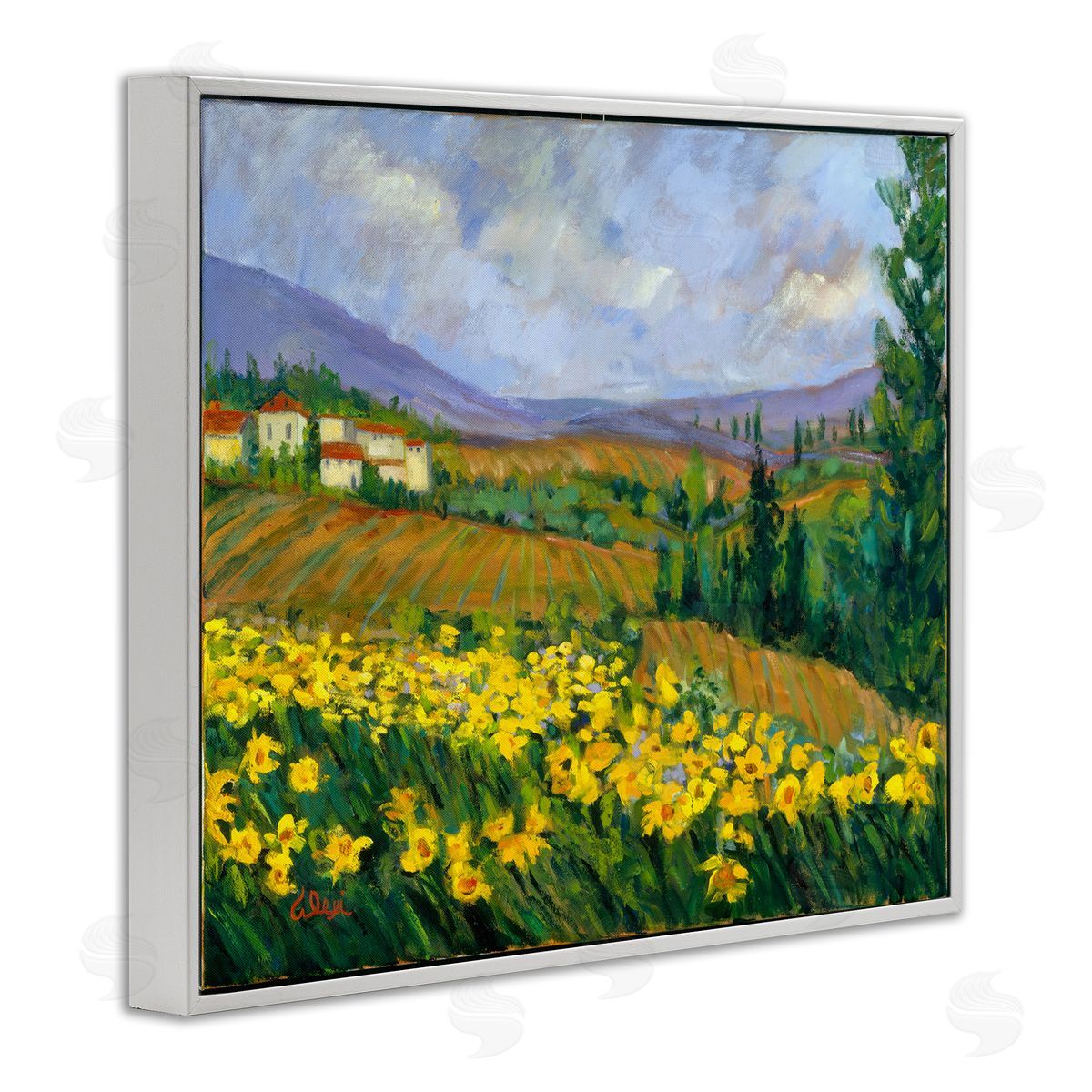 Alexi Fine Daffodil Field by Farm White Framed Giclee Wall Art Print