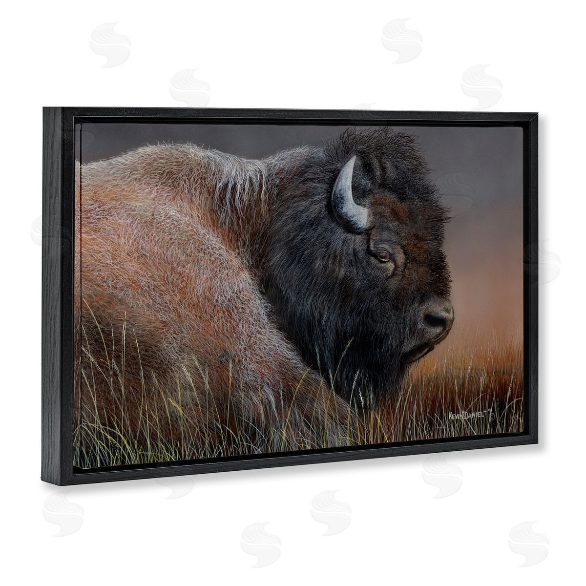 Detailed Bison Close Up Black Floating Frame Canvas Wall Art, Home Decor by Kevin Daniel