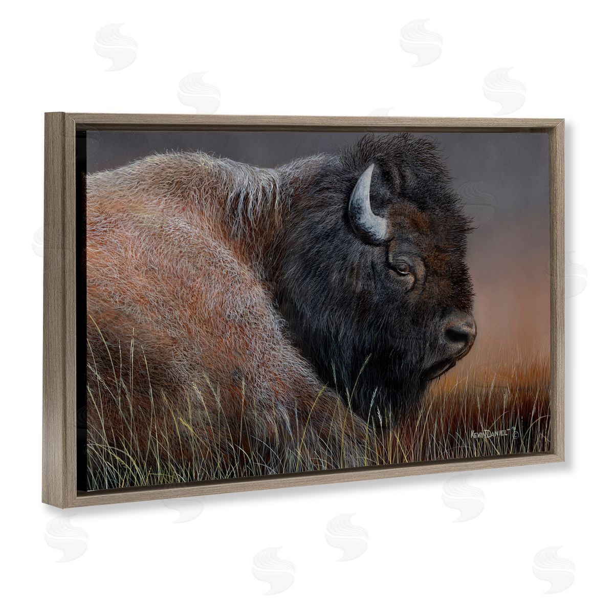 Detailed Bison Close Up Brown Floating Frame Canvas Wall Art, Home Decor by Kevin Daniel
