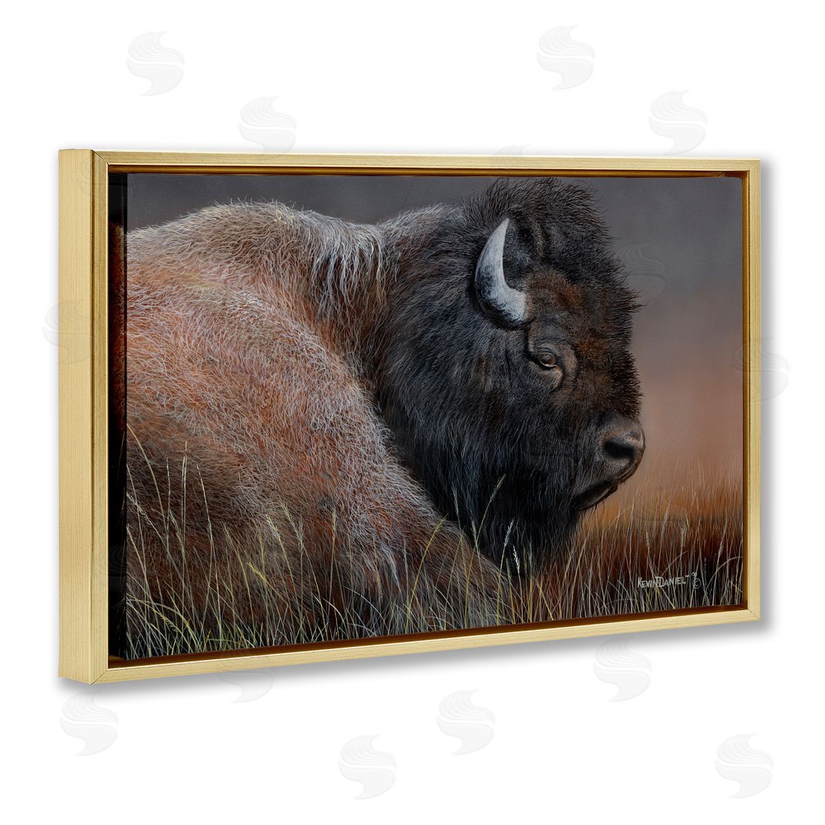 Detailed Bison Close Up Gold Floating Frame Canvas Wall Art, Home Decor by Kevin Daniel