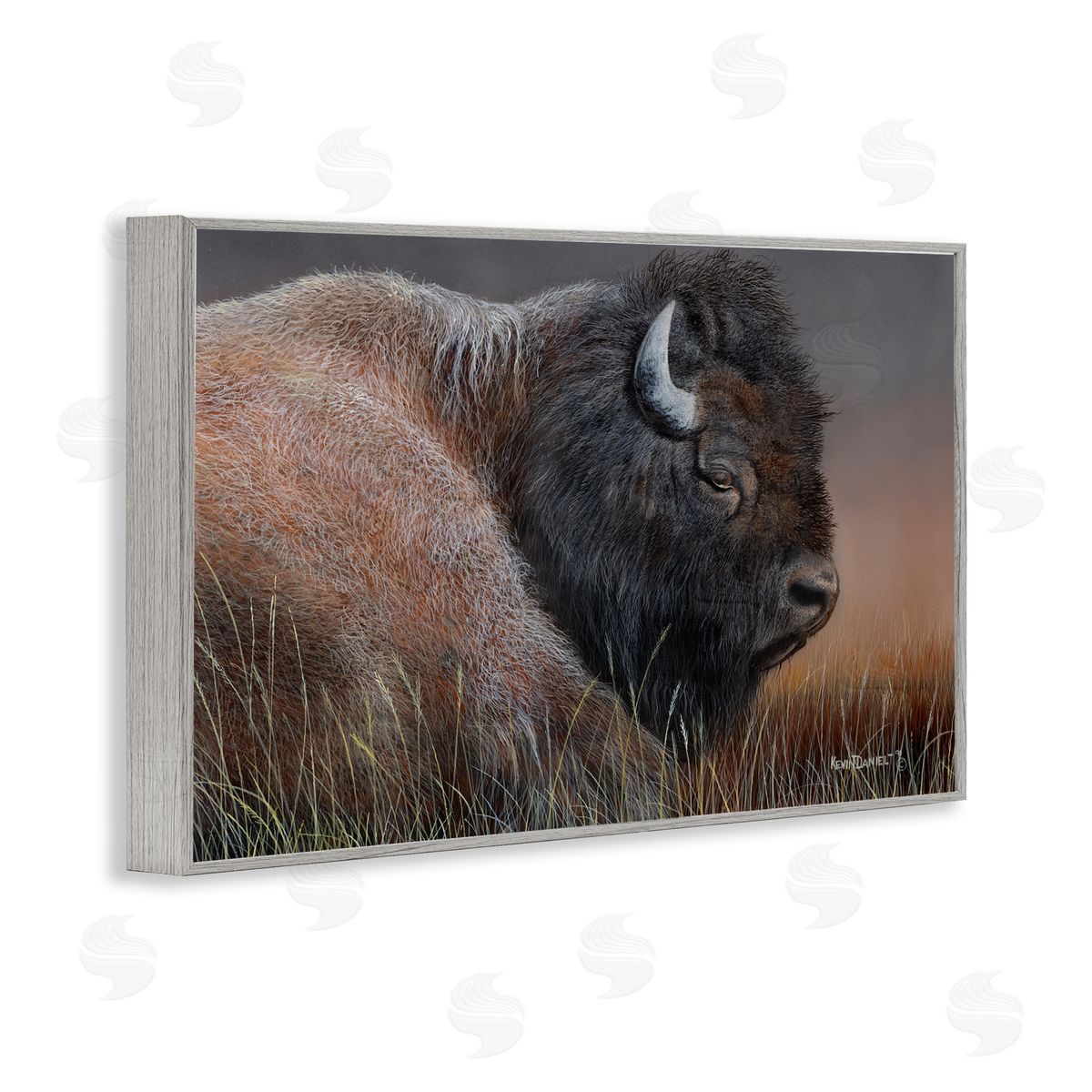 Detailed Bison Close Up Grey Frame Print Wall Art, Home Decor by Kevin Daniel