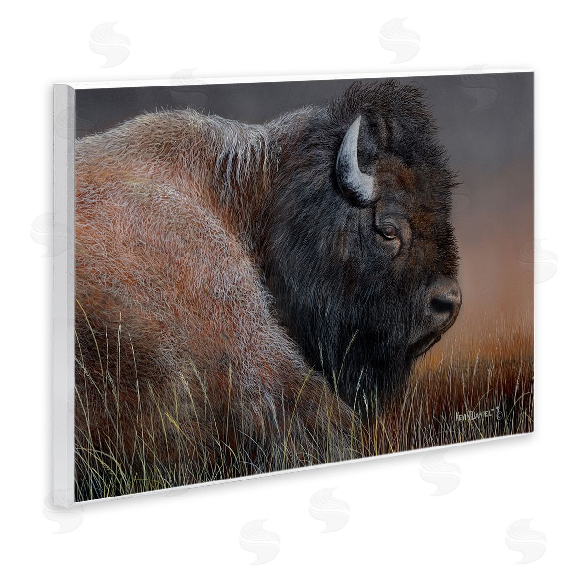 Detailed Bison Close Up Wood Plaque Wall Art, Home Decor by Kevin Daniel