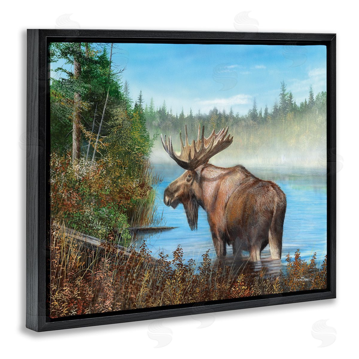 Kevin Daniel Rustic Moose Wading in Shore Black Floating Frame Canvas Wall Art Print