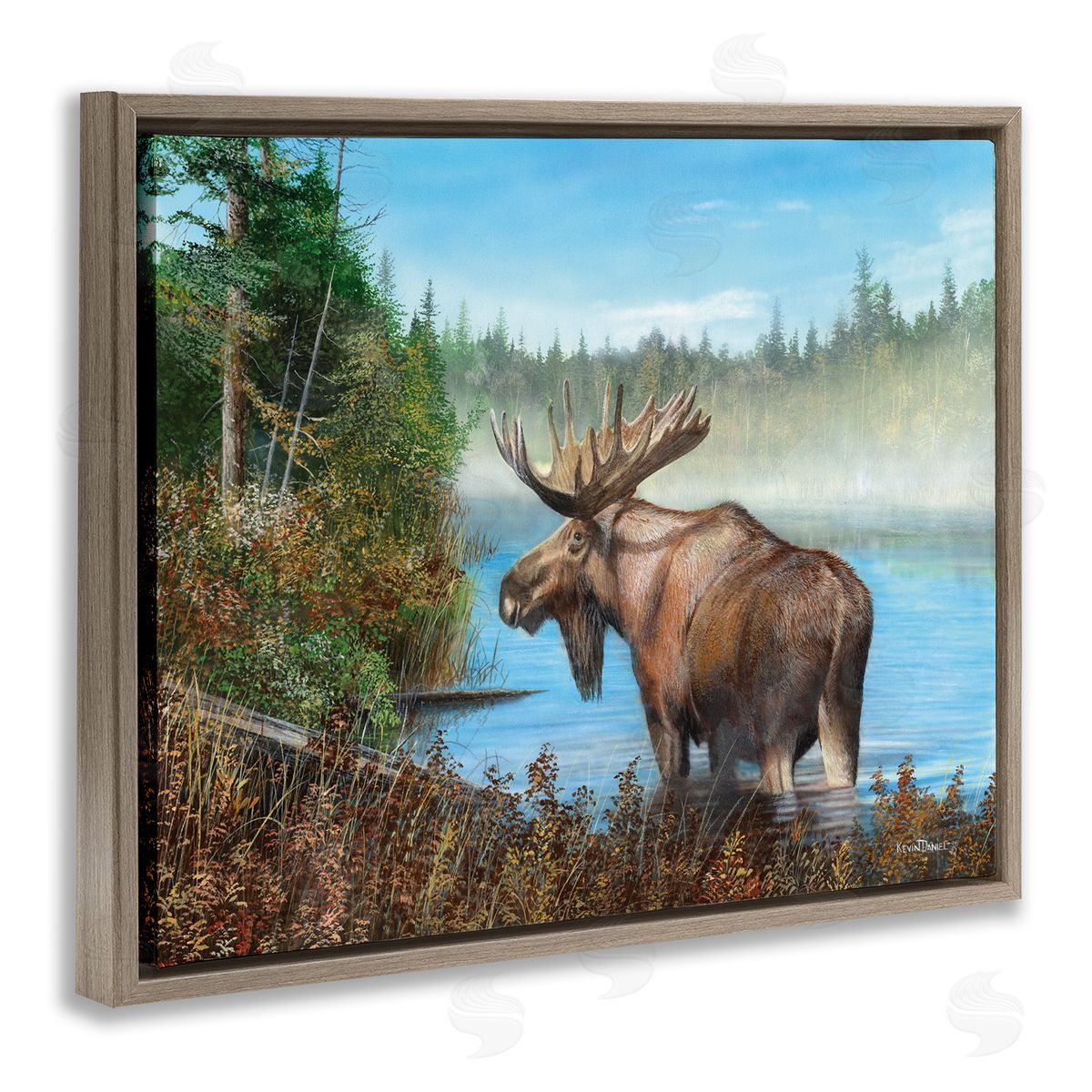 Kevin Daniel Rustic Moose Wading in Shore Brown Floating Frame Canvas Wall Art Print