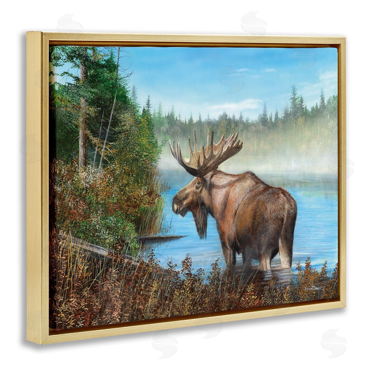 Kevin Daniel Rustic Moose Wading in Shore Gold Floating Frame Canvas Wall Art Print