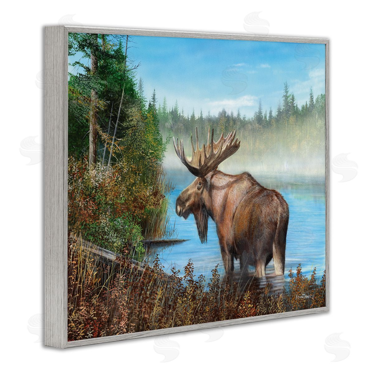 Kevin Daniel Rustic Moose Wading in Shore Gray Framed Giclee Wall Art Print