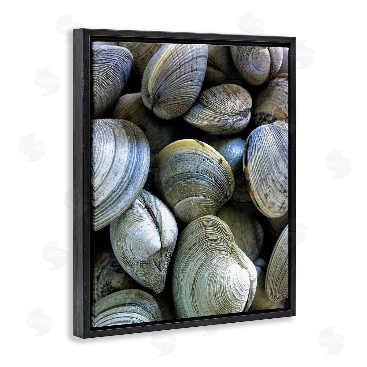 Maritime Clams Pile Black Floating Frame Canvas Wall Art, Home Decor by Graffi*tee Studios