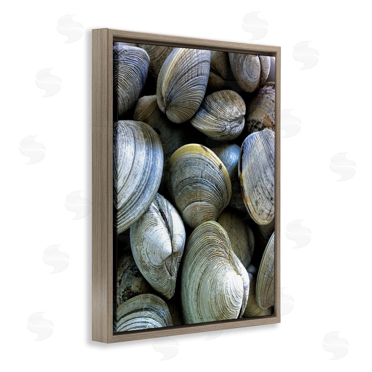 Maritime Clams Pile Brown Floating Frame Canvas Wall Art, Home Decor by Graffi*tee Studios
