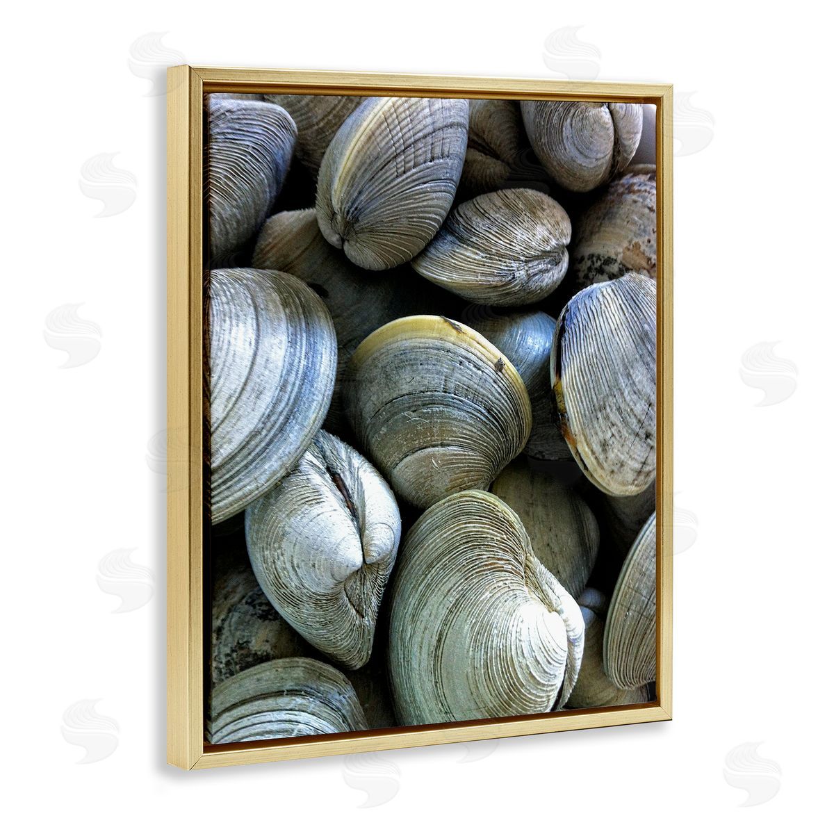 Maritime Clams Pile Gold Floating Frame Canvas Wall Art, Home Decor by Graffi*tee Studios