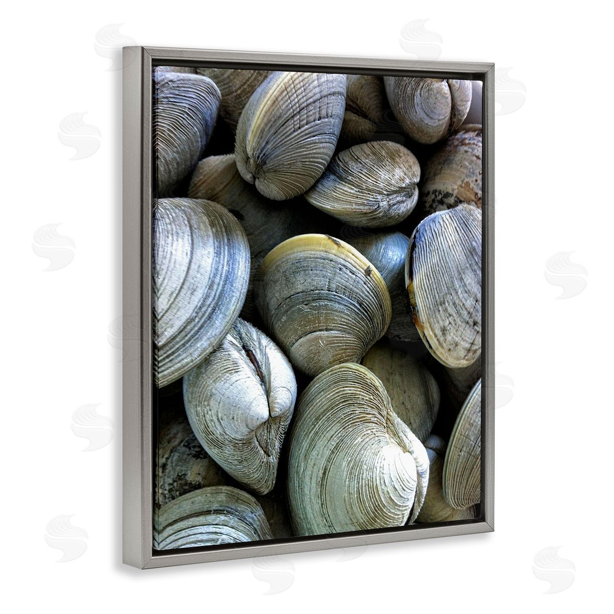 Maritime Clams Pile Grey Floating Frame Canvas Wall Art, Home Decor by Graffi*tee Studios