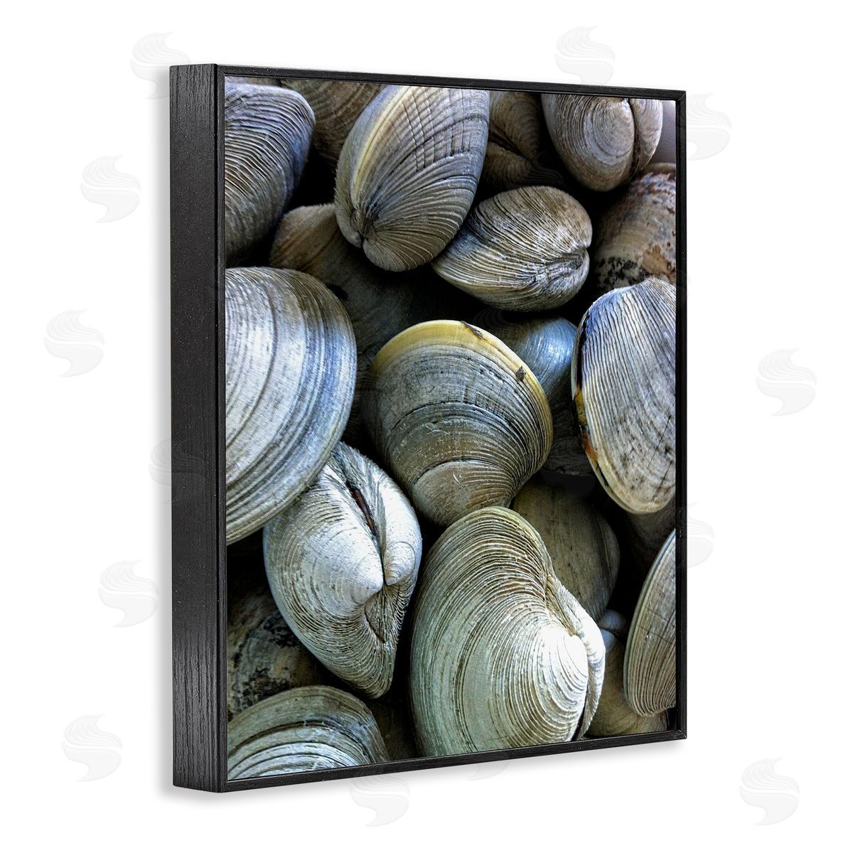 Maritime Clams Pile Black Frame Print Wall Art, Home Decor by Graffi*tee Studios