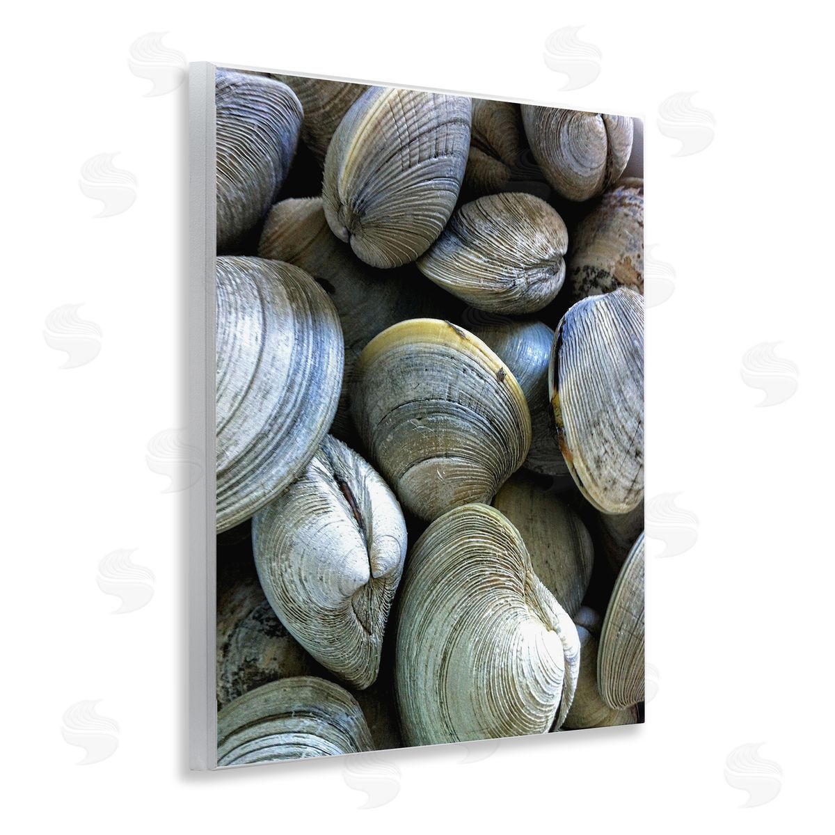 Maritime Clams Pile Wood Plaque Wall Art, Home Decor by Graffi*tee Studios