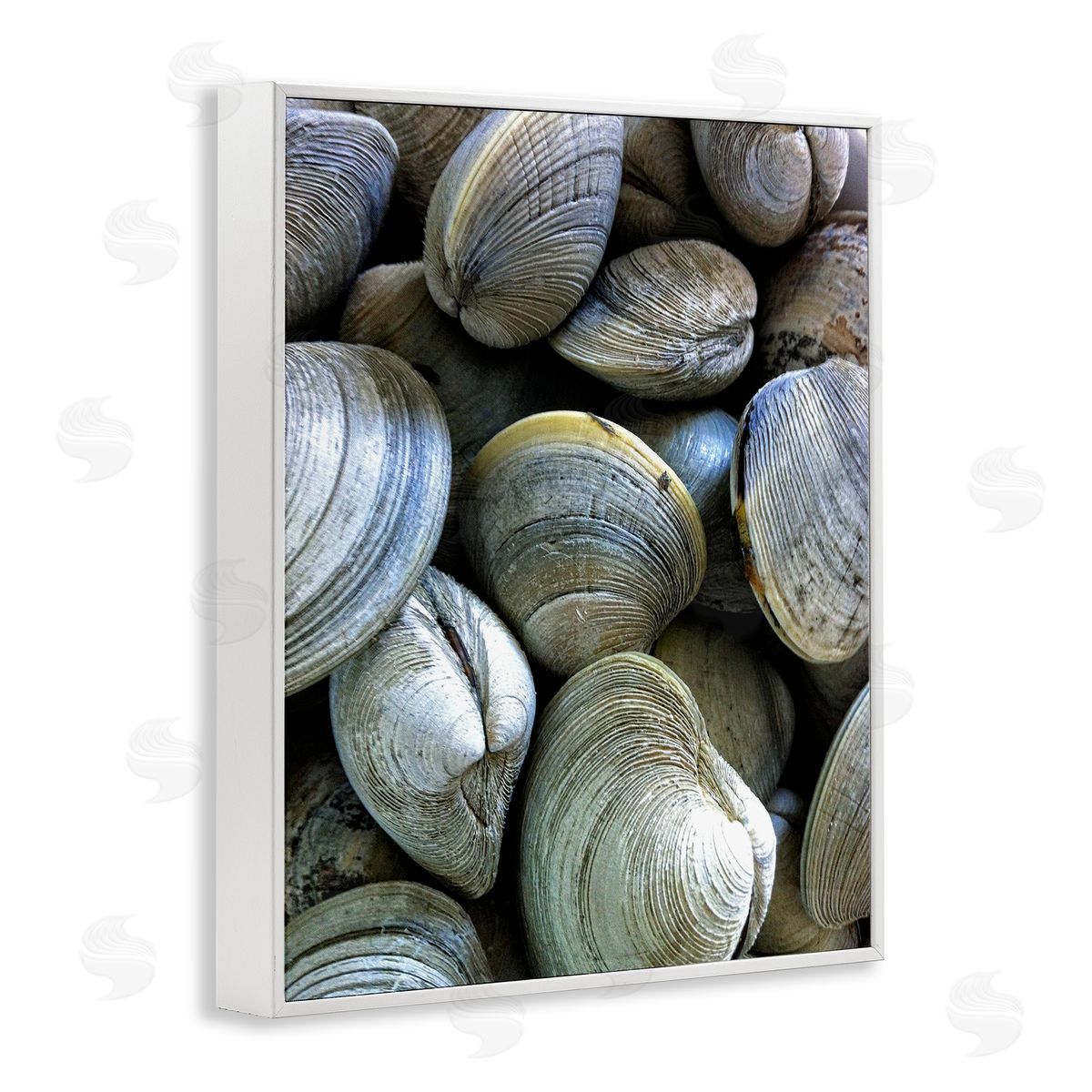 Maritime Clams Pile White Frame Print Wall Art, Home Decor by Graffi*tee Studios