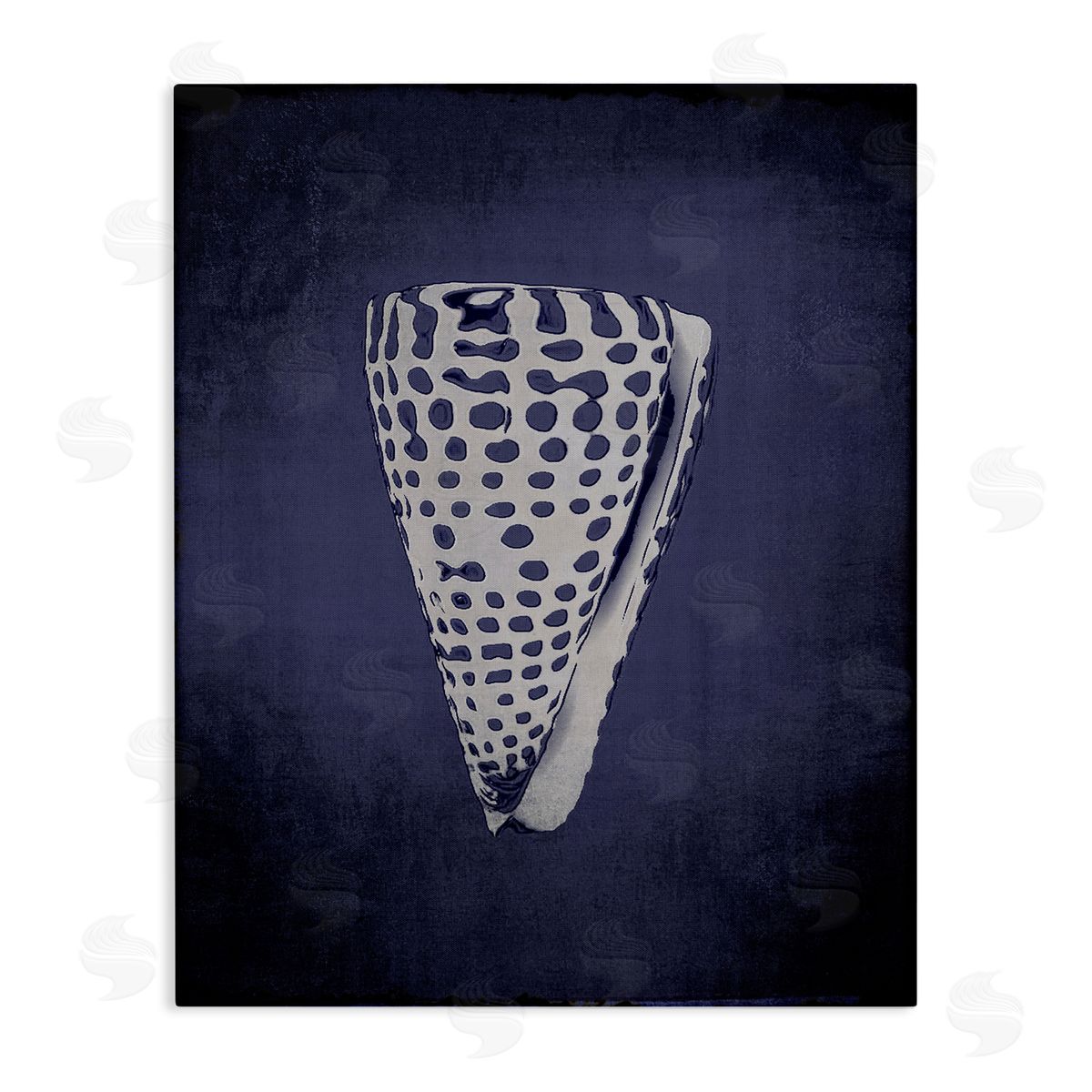 Nautical Cone Shell Canvas Wall Art, Home Decor by Graffi*tee Studios