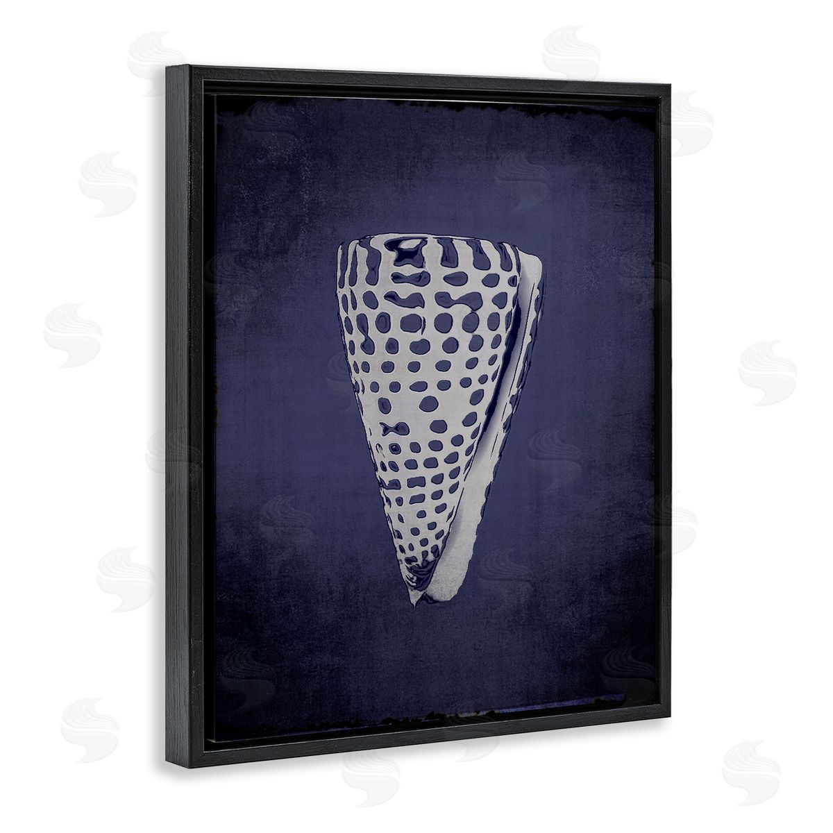 Nautical Cone Shell Black Floating Frame Canvas Wall Art, Home Decor by Graffi*tee Studios