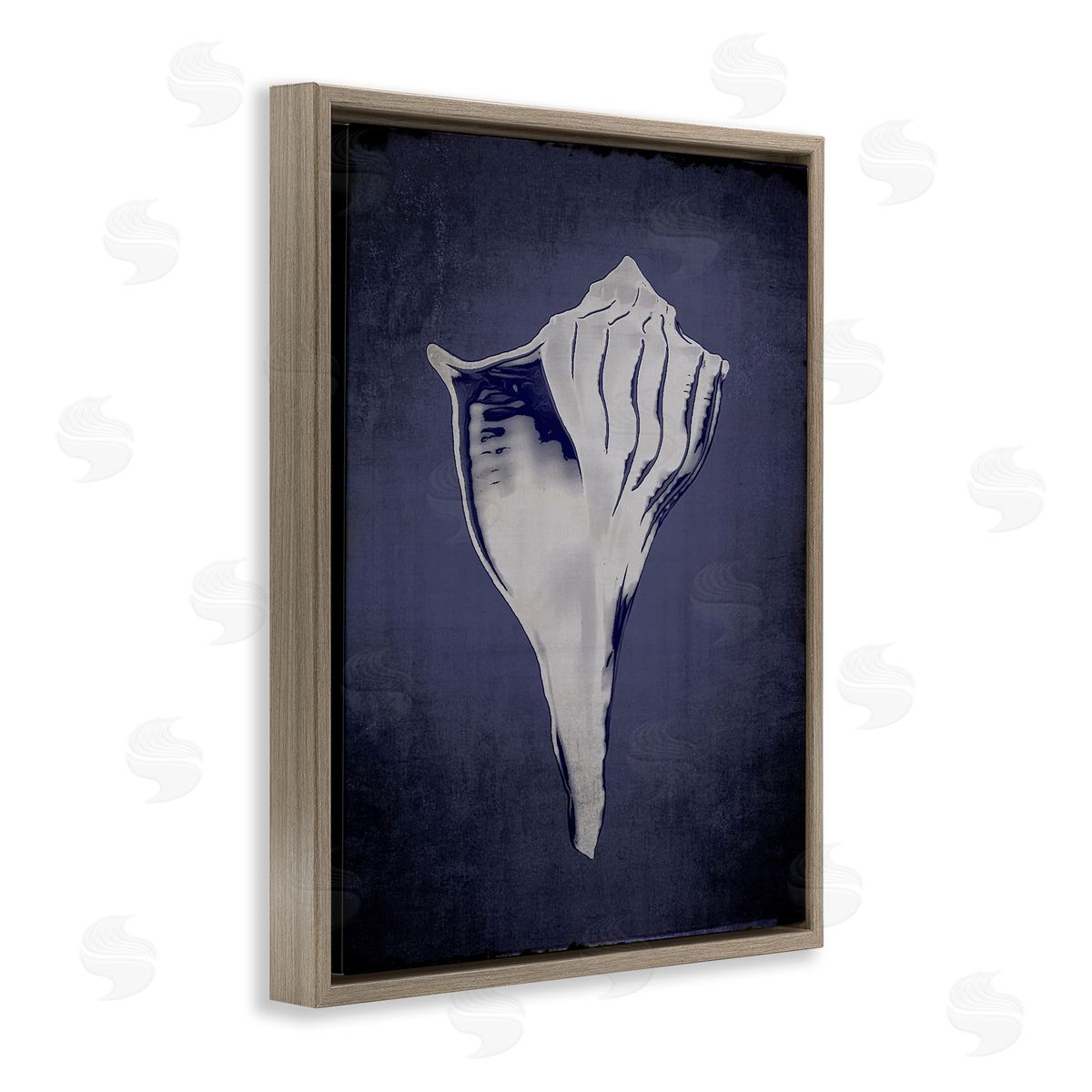 Lightning Whelk on Indigo Brown Floating Frame Canvas Wall Art, Home Decor by Graffi*tee Studios