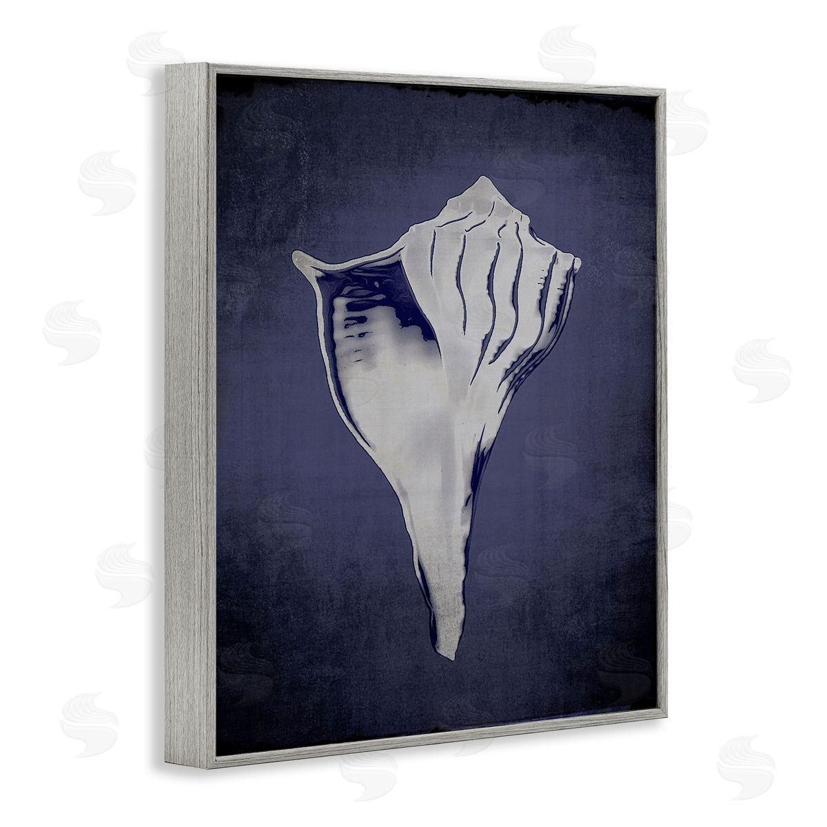 Lightning Whelk on Indigo Grey Frame Print Wall Art, Home Decor by Graffi*tee Studios
