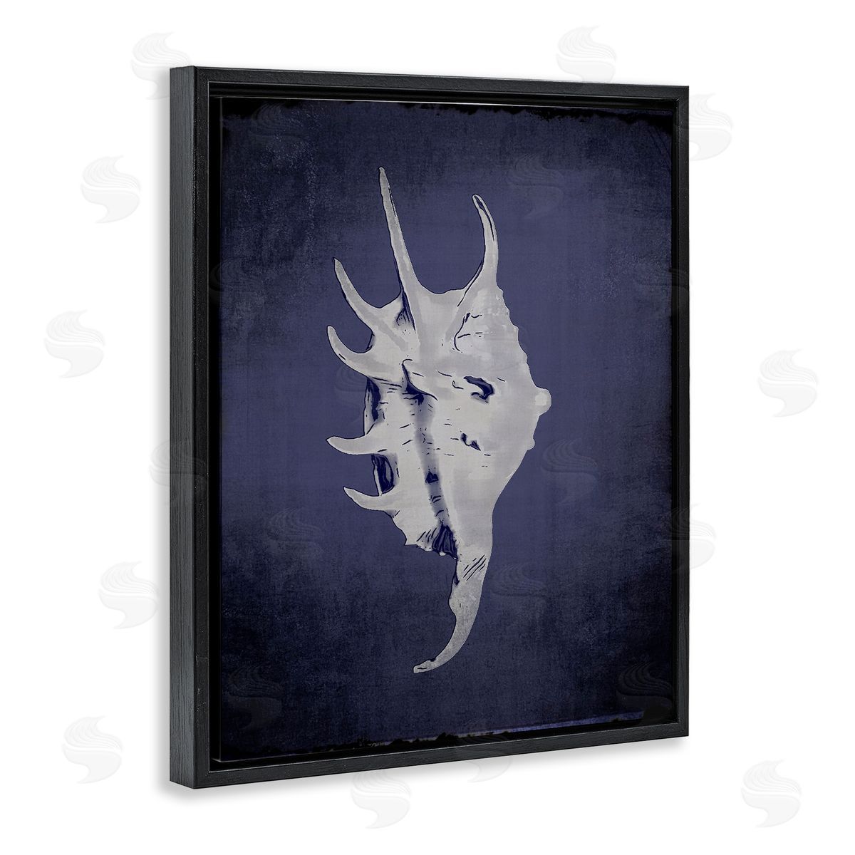Spider Conch on Indigo Black Floating Frame Canvas Wall Art, Home Decor by Graffi*tee Studios