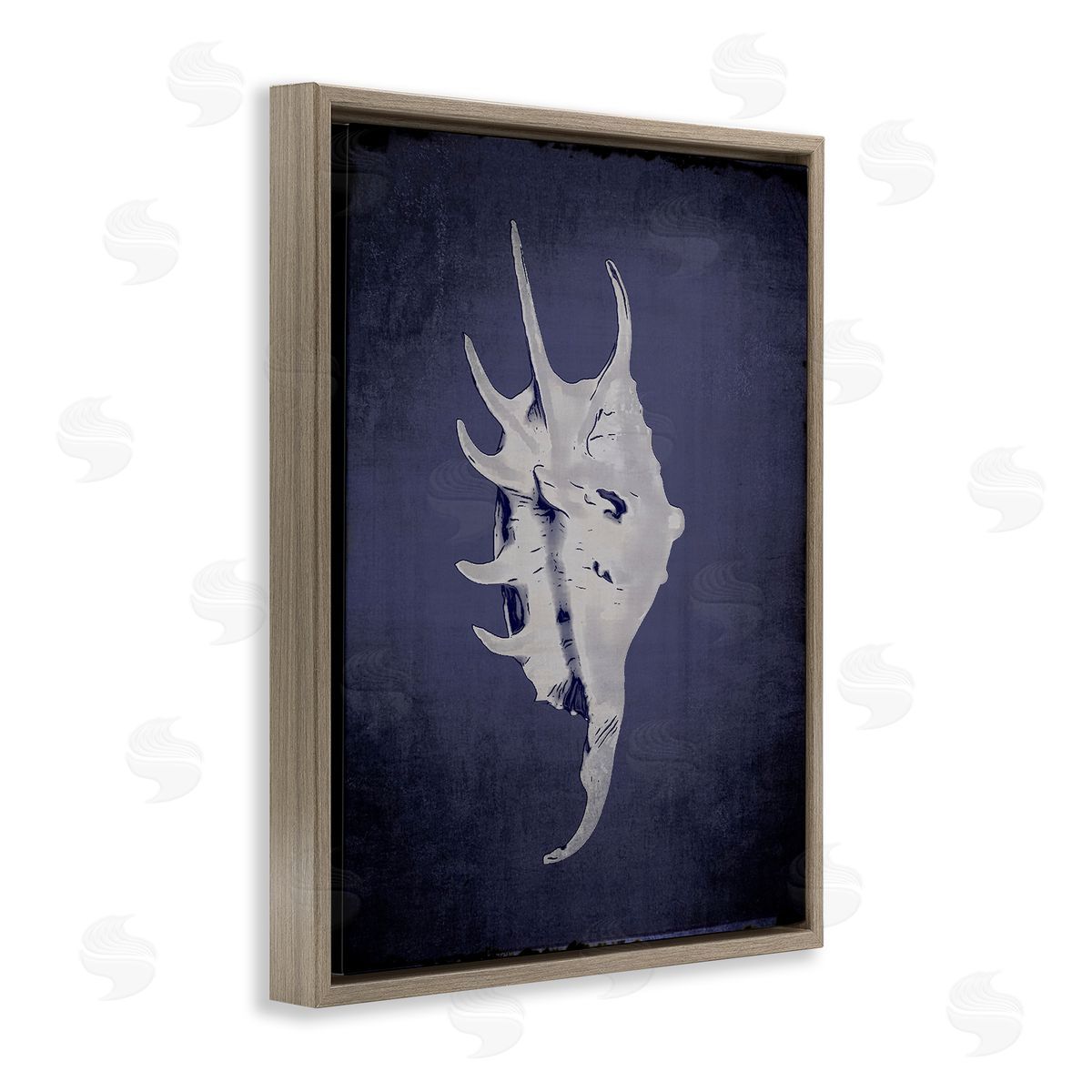 Spider Conch on Indigo Brown Floating Frame Canvas Wall Art, Home Decor by Graffi*tee Studios