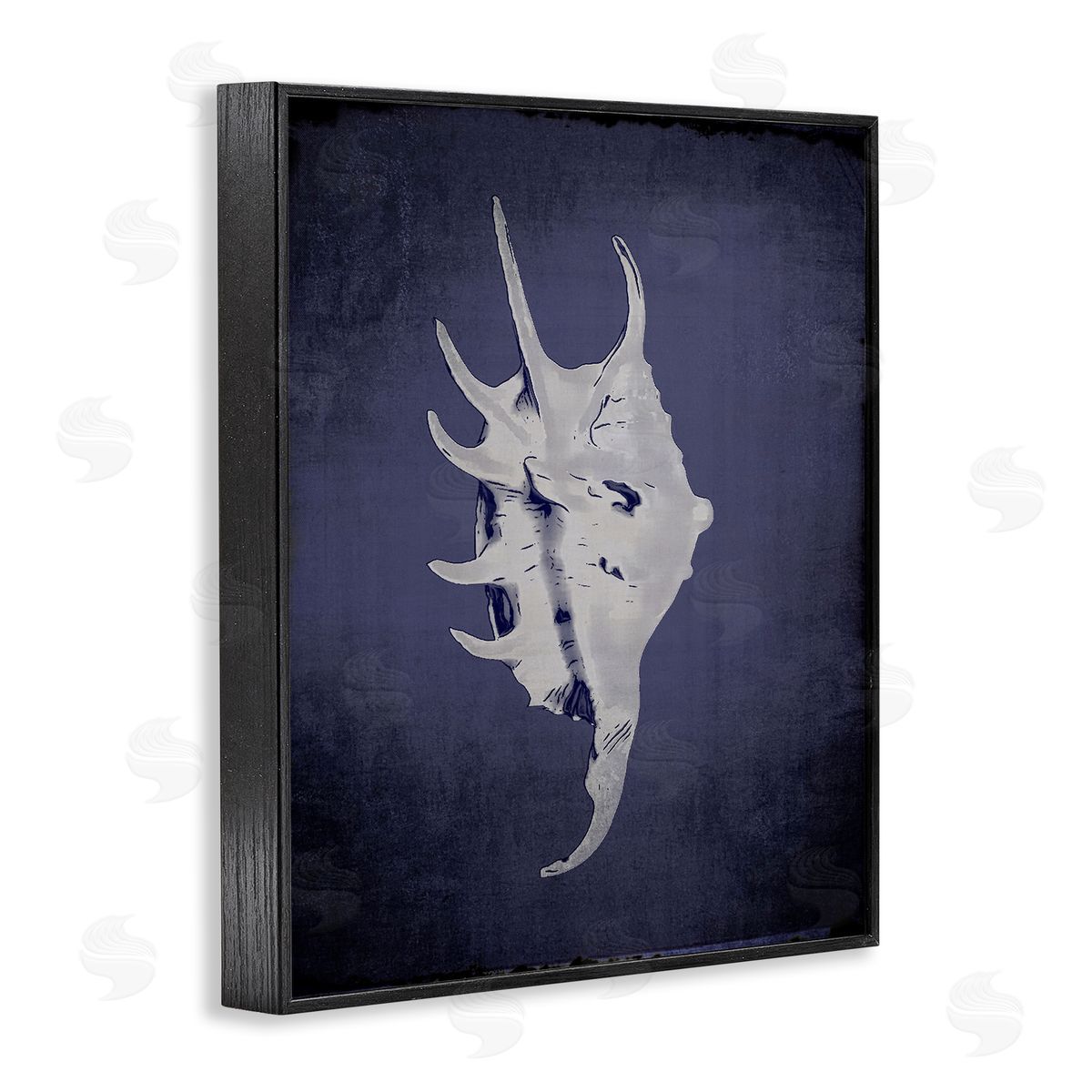 Spider Conch on Indigo Black Frame Print Wall Art, Home Decor by Graffi*tee Studios